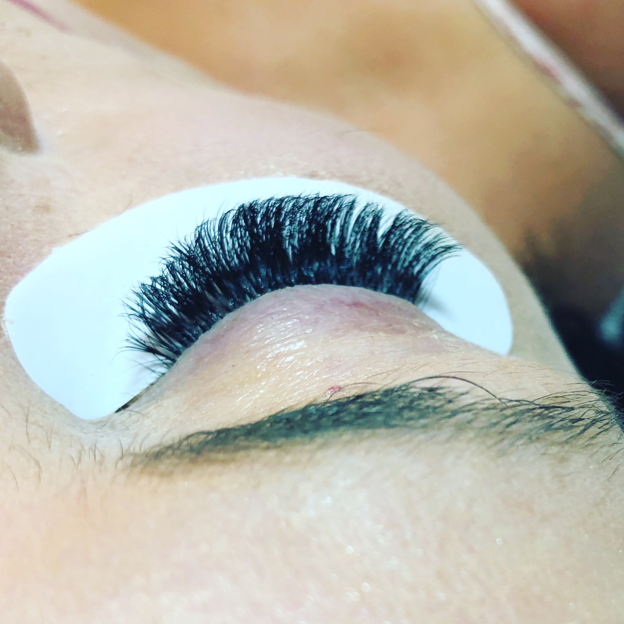 Lush Lash And Brow Lounge In Fort Myers FL Vagaro